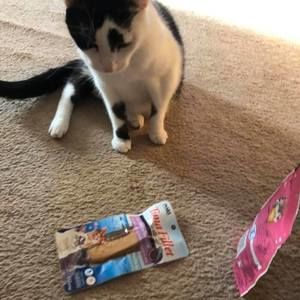 Meet your Posher, Meghan